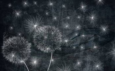 File gốc File tranh gốc tổng hợp tranh nền tường đẹp K96339 (vector) cho in ấn