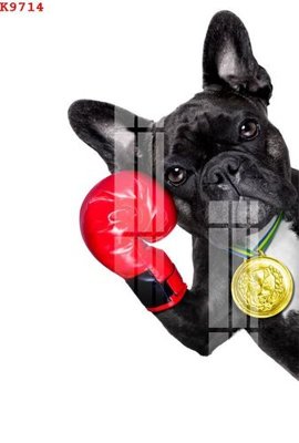 Tải file File gốc in tranh tổng hợp K9714 (ảnh gốc) in gạch men