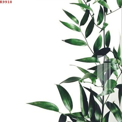 File in trần File gốc in tranh tổng hợp K9918 (bản gốc 3D) sống động