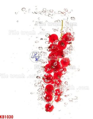 Tải xuống file tranh gốc File in kính bếp KB1030 (PSD/TIFF)