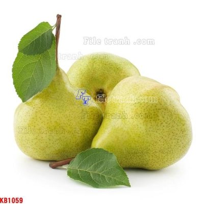 File in trần File in kính bếp KB1059 (bản gốc) đại dương