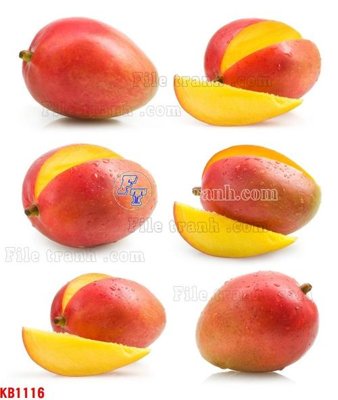 File gốc File in kính bếp KB1116 (in ấn) không giới hạn