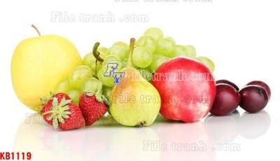 File gốc File in kính bếp KB1119 (in lụa) hoa văn cổ điển