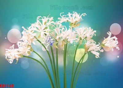 Tải file gốc File in kính bếp KB1149 (bản PSD) đầy đủ layer