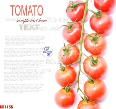 File tranh File in kính bếp KB1156 (bản gốc) in lụa dán tường