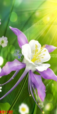 Tải file File in kính bếp KB1192 (gốc) làm file quảng cáo