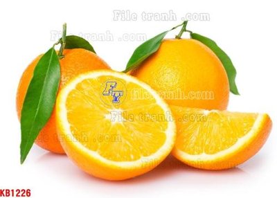 File tranh File in kính bếp KB1226 (file gốc) chủ đề phong thủy