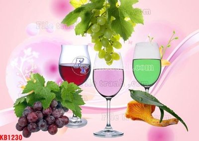 Tải file File in kính bếp KB1230 (ảnh gốc) 300dpi File in kính bếp KB1230