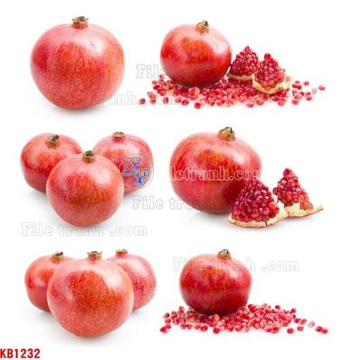 File ảnh File in kính bếp KB1232 (gốc) trang trí khách sạn