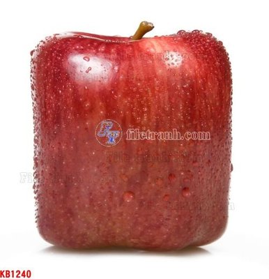 Tải file File in kính bếp KB1240 (ảnh gốc) in gạch 3D