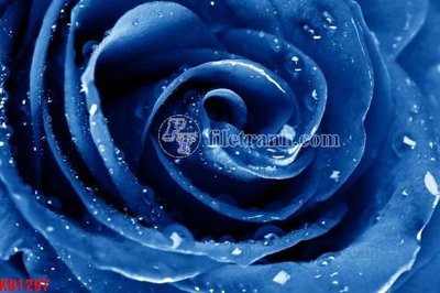 Tải file File in kính bếp KB1297 (gốc) in nhanh