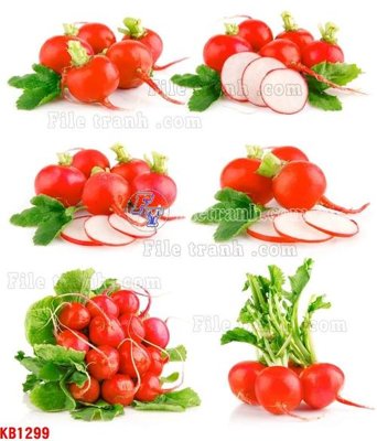 Tải file File in kính bếp KB1299 (gốc) làm tranh treo tường