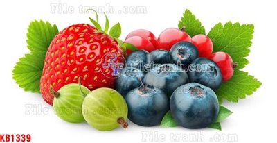 File ảnh File in kính bếp KB1339 (gốc) dùng in Pano