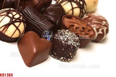 File gốc File in kính bếp KB1365 (in mica) làm bảng hiệu