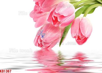 Download file gốc File in kính bếp KB1367 (in mica) trong suốt