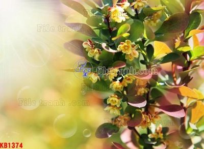 File tranh File in kính bếp KB1374 (gốc) chủ đề trẻ em