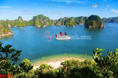 File gốc File in kính bếp KB1377 (dành cho quảng cáo)