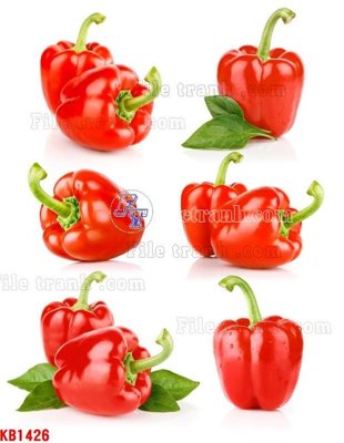 File tranh File in kính bếp KB1426 (ảnh gốc) độc quyền