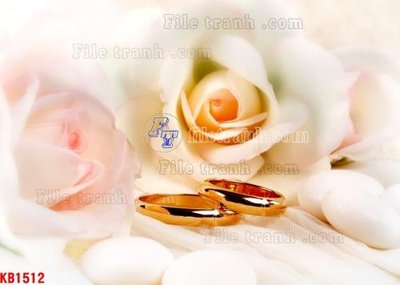 File tranh File in kính bếp KB1512 (ảnh gốc) độ nét vượt trội