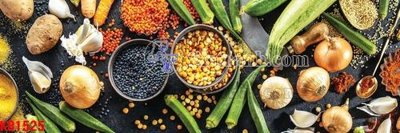 File gốc File in kính bếp KB1525 (chuẩn CMYK) cho nhà in