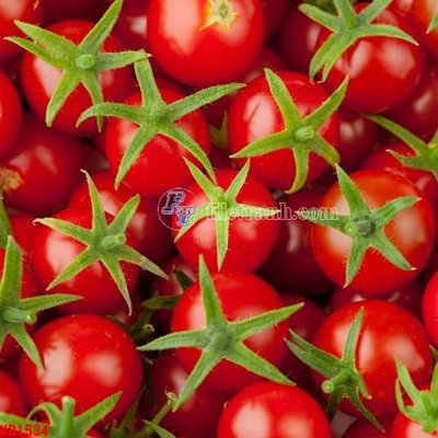 File tranh gốc in trần nhà File in kính bếp KB1534 3D