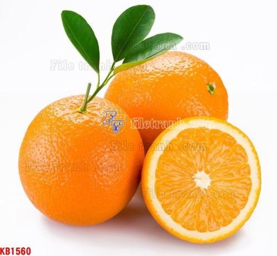 File gốc File in kính bếp KB1560 (vector) cho in ấn