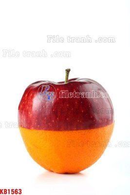 Tải file gốc File in kính bếp KB1563 (bản PSD) đầy đủ layer