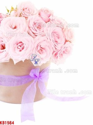 File in trần File in kính bếp KB1564 (bản gốc) trời sao