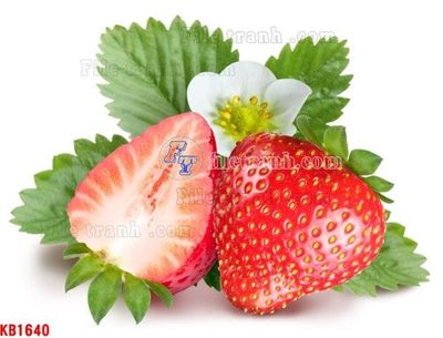 Tải file File in kính bếp KB1640 (ảnh gốc) in tranh kính