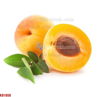 File gốc in ấn File in kính bếp KB1658 chuẩn màu CMYK