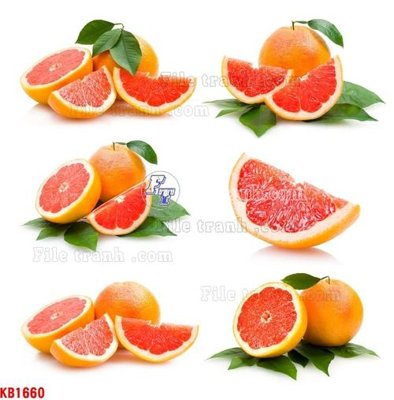 File in trần File in kính bếp KB1660 (bản gốc) mây trời