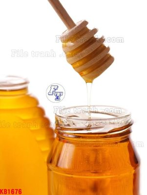 Tải file gốc File in kính bếp KB1676 dùng cho in ấn