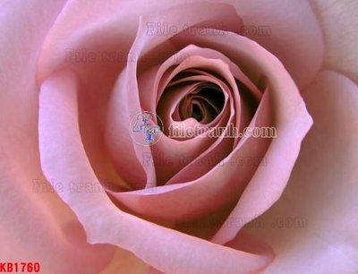 File PSD File in kính bếp KB1760 (gốc) cho designer