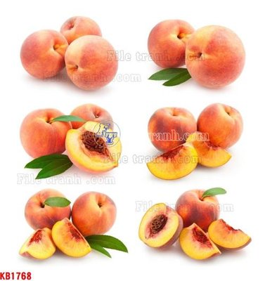 File gốc File in kính bếp KB1768 (phong cách) châu Âu