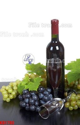 Tải file File in kính bếp KB1793 (ảnh gốc) độ phân giải 300dpi