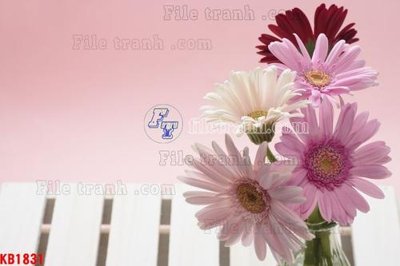 Hình ảnh file gốc File in kính bếp KB1831 cho in UV