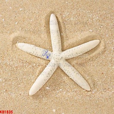 Tải file gốc File in kính bếp KB1835 (in tráng gương) 5DFile gốc File in kính bếp KB1835 (in ấn) phiên bản premium