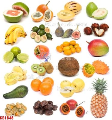 File gốc in tráng gương File in kính bếp KB1848 chi tiết