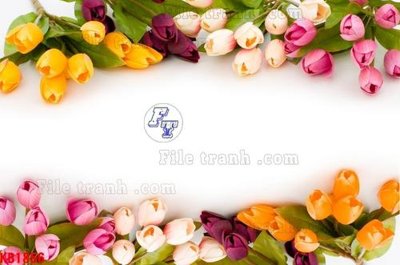 File gốc File in kính bếp KB1856 (vector) cho in ấn