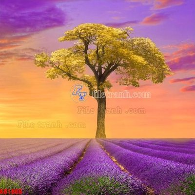 File gốc File in kính bếp KB1869 (dành cho quảng cáo)