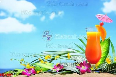 Tải file File in kính bếp KB1881 (ảnh gốc) 300dpi File in kính bếp KB1881