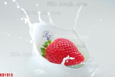 File in ấn File in kính bếp KB1915 (bản gốc) sắc nét