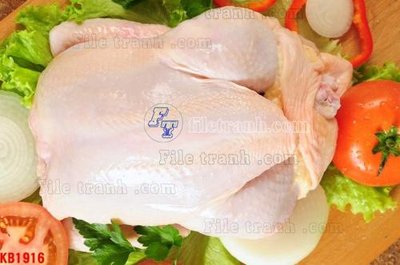 File PSD File in kính bếp KB1916 (bản gốc) đã tách nền