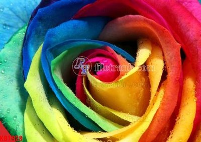 File tranh in tráng gương File in kính bếp KB1928 (siêu nét)