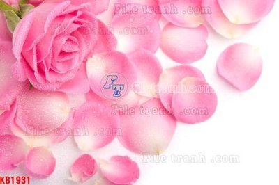 File gốc File in kính bếp KB1931 (ảnh rõ nét) để in