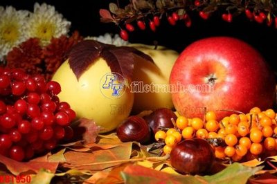 Tệp tin gốc File in kính bếp KB1950 (dùng cho in ấn) chuyên nghiệp