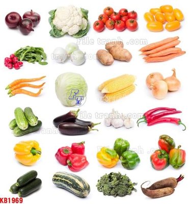 File gốc File in kính bếp KB1969 (bản quyền) cho in ấn