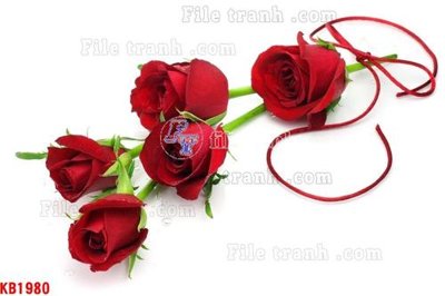 File gốc File in kính bếp KB1980 (ảnh rõ nét) để in