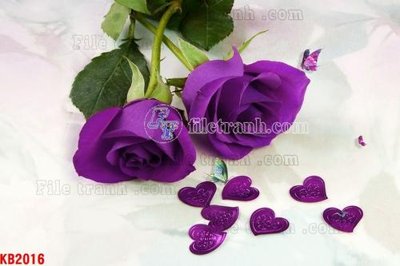 File gốc File in kính bếp KB2016 (in tráng gương) hiện đại