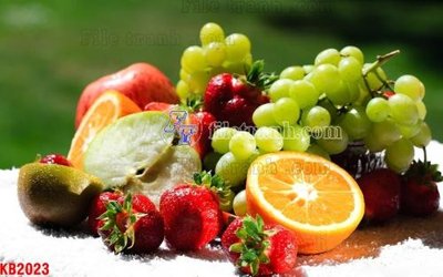 File in mica File in kính bếp KB2023 (bản gốc) sắc sảo